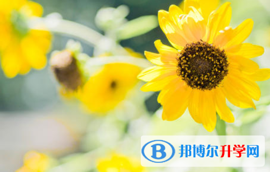 2021年唐山中考體考標準
