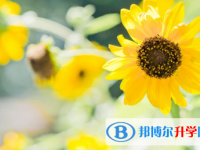 2021年唐山中考體考標準