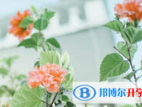 2021年唐山中考應對策略
