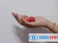2021年唐山中考重點復習