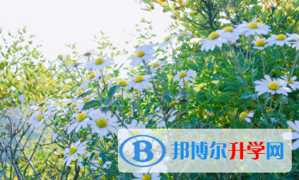 2021年秦皇島中考調招