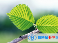 2021年唐山中考準考證丟了怎么辦