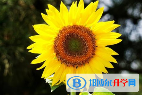 2021年唐山中考哪個地方最難