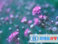 2021年秦皇島中考網報