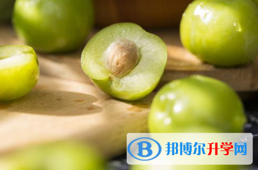 2021年唐山中考后可以上什么學校