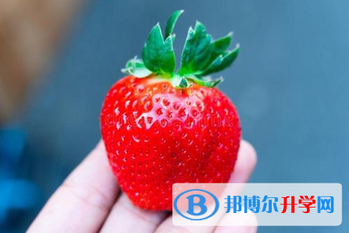 2021年唐山中考的報名號是什么