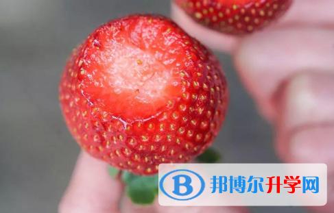 2021年唐山中考453可以讀哪些學校