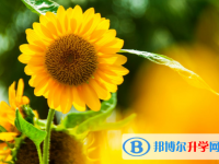 2021年唐山怎么寫(xiě)中考自薦書(shū)