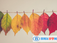 2021年唐山如果中考沒(méi)考上讀什么好