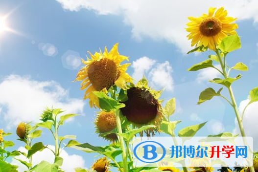 2021年秦皇島中考網絡平臺