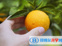 2021年唐山孩子中考沒(méi)考好如何安慰
