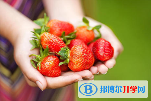 2021年唐山中考報名是哪個網站