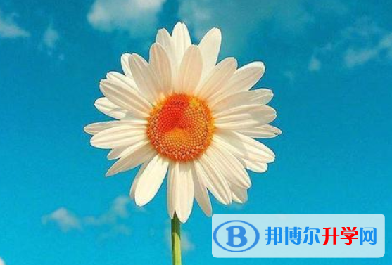 2021年唐山中考報名網站是什么