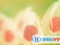 2021年秦皇島中考招生計劃查詢