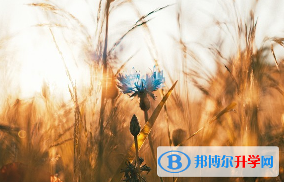 2021年秦皇島中考預估重點線