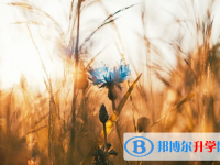 2021年秦皇島中考預估重點線