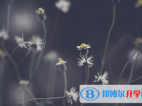 2021年秦皇島中考咨詢熱線電話號碼