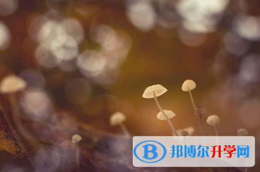 2021年秦皇島中考準考證信息