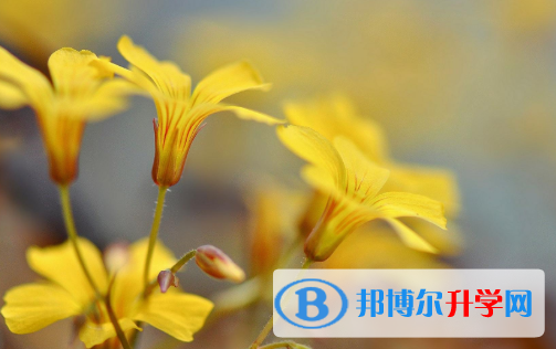 2021年秦皇島中考重點線預測