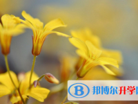 2021年秦皇島中考重點線預測
