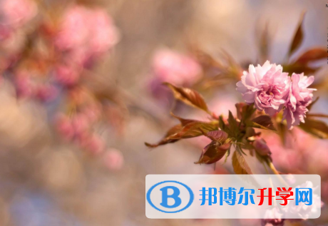 2021年秦皇島中考重點線是多少