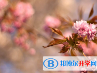 2021年秦皇島中考重點線是多少