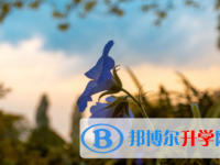 2021年秦皇島中考重點線錄取