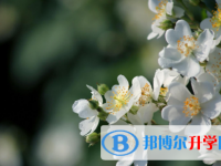 2021年秦皇島中考重點線