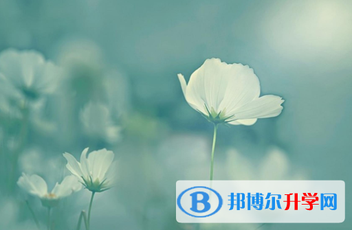 2021年秦皇島中考重點(diǎn)復(fù)習(xí)資料