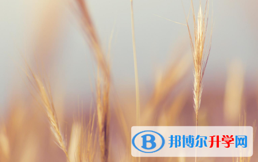 2021年秦皇島中考志愿怎么填報