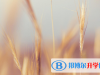2021年秦皇島中考志愿怎么填報
