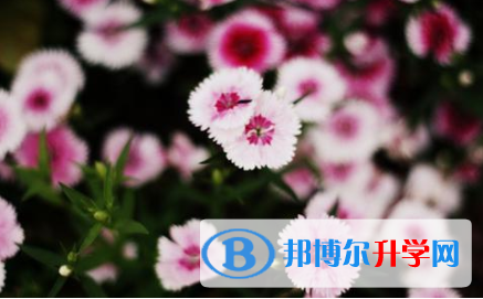2021年秦皇島中考志愿官網