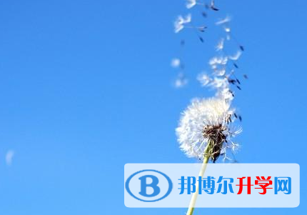 2021年唐山中考調劑志愿