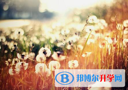 2021年唐山中考志愿可以填幾個