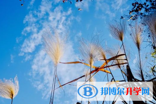 2021年唐山中考志愿填報網址