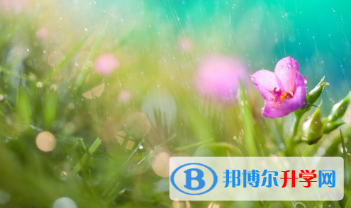 2021年唐山中考志愿填報