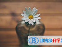 2021年唐山網上查詢中考成績