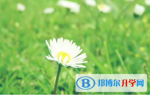 2021年唐山網(wǎng)上查詢中考成績(jī)?cè)趺床樵? width=