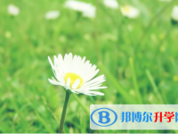 2021年唐山網上查詢中考成績怎么查詢