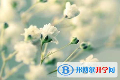 2021年唐山怎樣從網上查詢中考成績