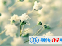 2021年唐山怎樣從網上查詢中考成績