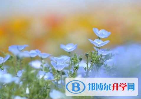 2021年唐山中考成績查詢網(wǎng)址