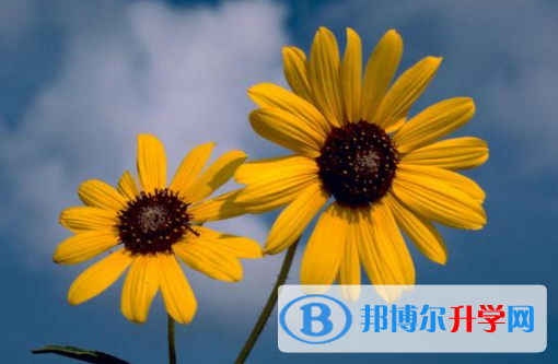 2021年唐山歷年中考重點