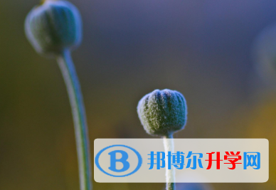 2021年唐山中考報考指南