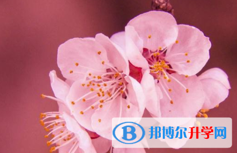 2021年唐山中考成績好久出來