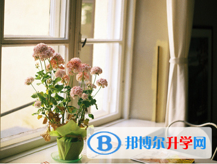 2021年邯鄲中考考生人數