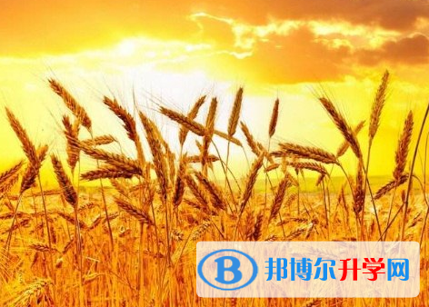 2021年邯鄲中考可以報哪些學校