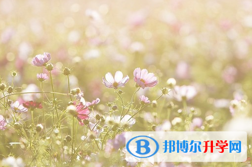 2021年邯鄲中考錄取規劃線