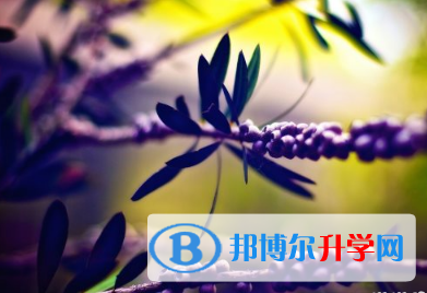 2021年邯鄲中考人數