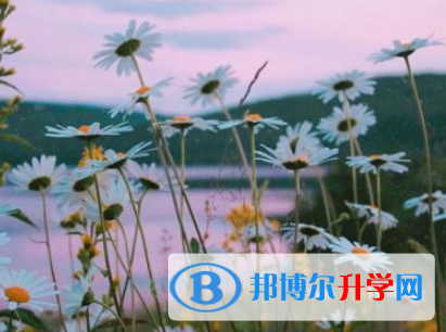 邯鄲2021年中考填志愿的網站